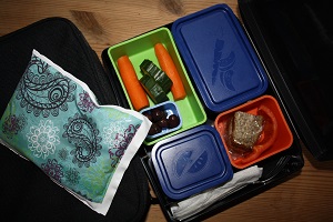 Hold gravet fisk kølig og ufordærvet i en madkasse med køleelement